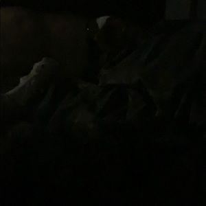 Meet your Posher, Jeanne